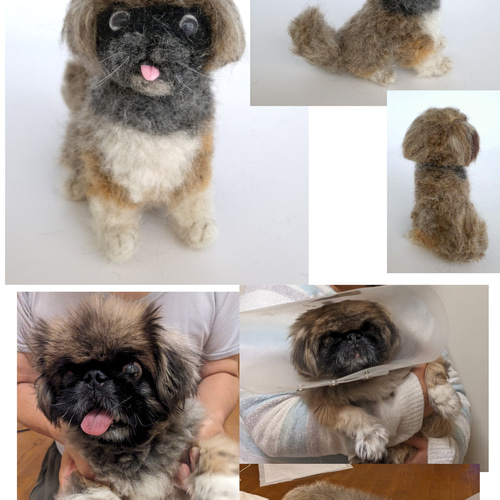 羊毛フェルト うちの子、愛犬オーダー 羊毛フェルト Rurumaru 通販