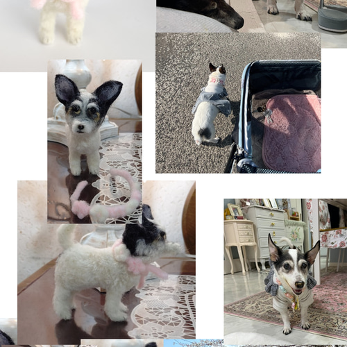 羊毛フェルト うちの子、愛犬オーダー 羊毛フェルト Rurumaru