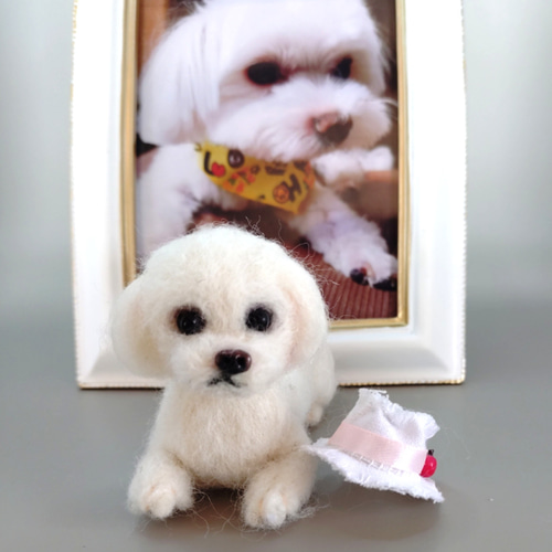羊毛フェルト うちの子、愛犬オーダー 羊毛フェルト Rurumaru