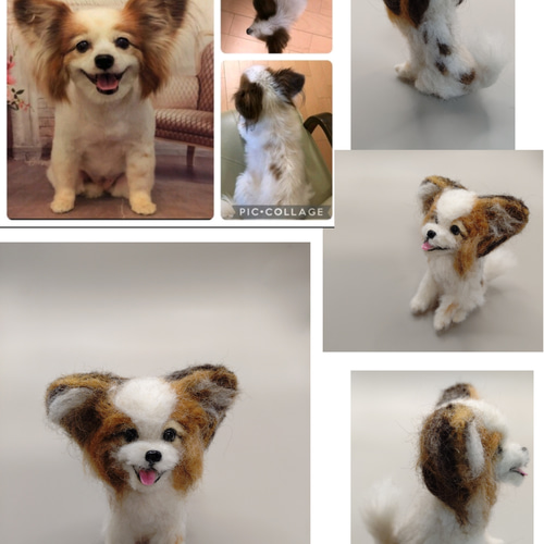 羊毛フェルト うちの子、愛犬オーダー 羊毛フェルト Rurumaru