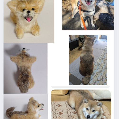 ♡必ず最後までプロフのご確認を♡♡　うちの子オーダー♡羊毛フェルト♪ うちの子♡羊毛フェルトオーダー受付ページ ストラップ or