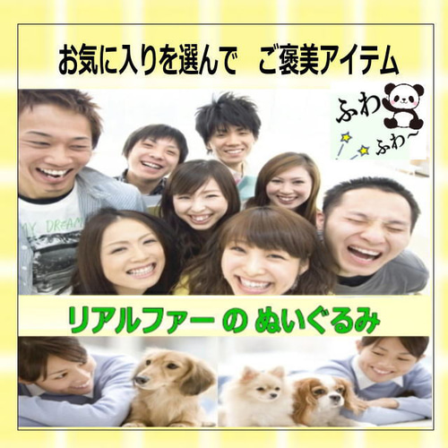 シーズー 横向き（大）犬ぬいぐるみ ぬいぐるみ置物 リアルファーの