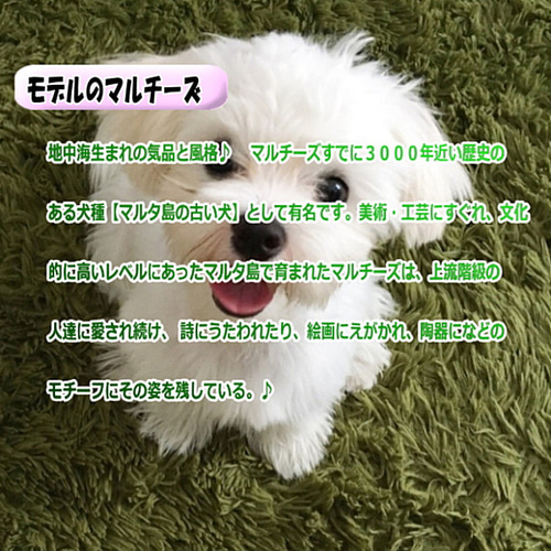 立ち姿マルチーズ 犬ぬいぐるみ ぬいぐるみ置物 リアルファーの