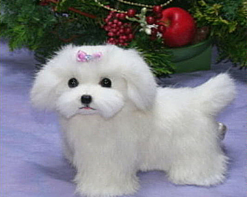 41abe92d6636c2eb24520f201a8a0a