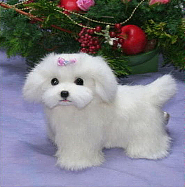 立ち姿マルチーズ　犬ぬいぐるみ　ぬいぐるみ置物　リアルファーのぬいぐるみ　ペット