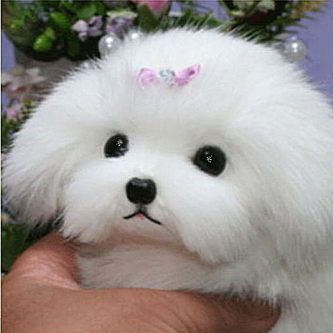 立ち姿マルチーズ　犬ぬいぐるみ　ぬいぐるみ置物　リアルファーのぬいぐるみ　ペット