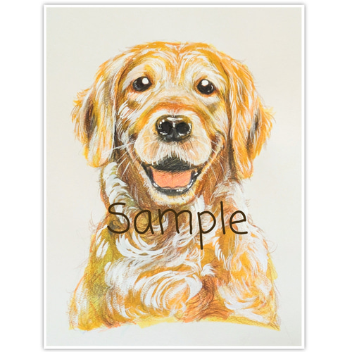 ペット似顔絵(肖像画)(犬や猫や鳥やペットなど似顔絵)オーダーメイド