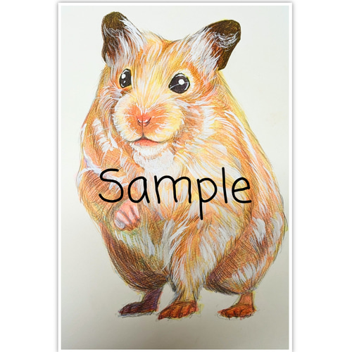 大切なペットの似顔絵 動物・犬・猫オーダーイラスト 絵画
