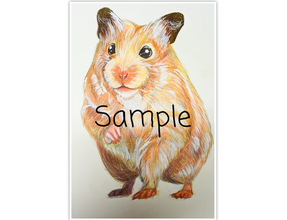 大切なペットの似顔絵 動物・犬・猫オーダーイラスト 絵画