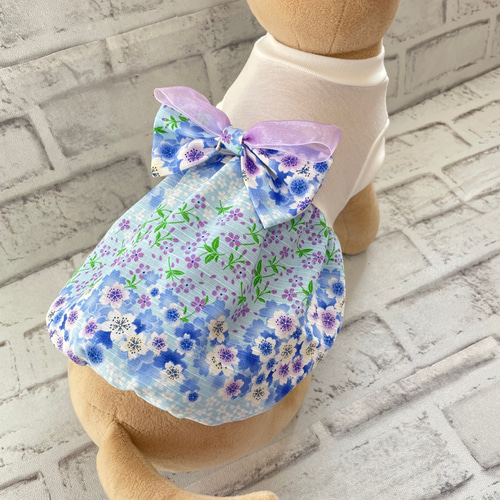 犬服 接触冷感 浴衣風ワンピースとバルーン ペット服・アクセサリー