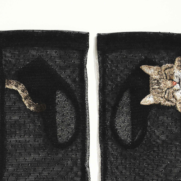 [貓臂套] Kijitora親子/防紫外線/100%棉/短搭配長袖 贈送Mytaine 第15張的照片