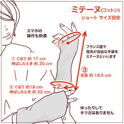 [貓臂套] Kijitora親子/防紫外線/100%棉/短搭配長袖 贈送Mytaine 第16張的照片