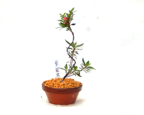 釣花器　雪月花 釣花器 雪月花