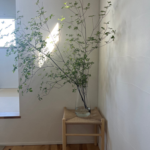 ペーパーコードスツール-正方形-SHIKAKU 椅子（チェアー）・スツール