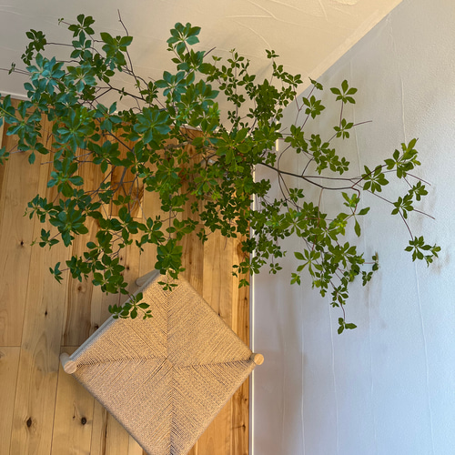 ペーパーコードスツール-正方形-SHIKAKU 椅子（チェアー