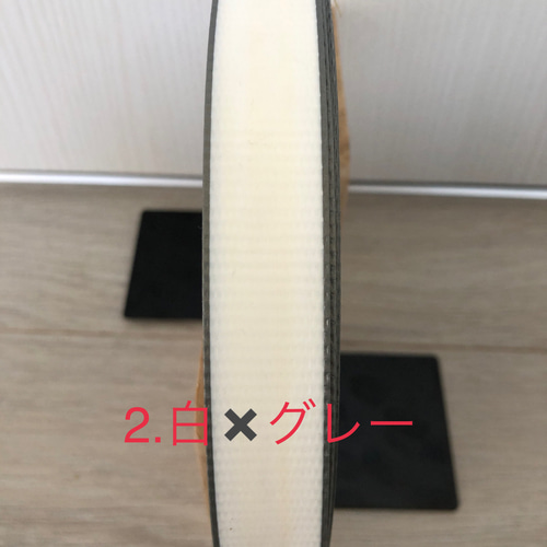 ベトナム製ppバンド22ミリ幅【50メートル巻き】 その他素材 pipi