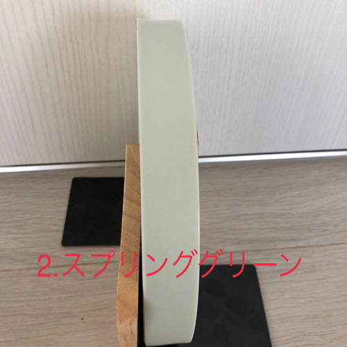 ppバンドベトナム製22ミリ幅【50メートル巻き】 その他素材 pipi 通販