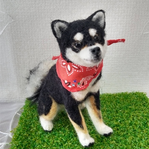 羊毛フェルト 黒柴犬さん お座り 柴犬 羊毛フェルト はなちよ 通販