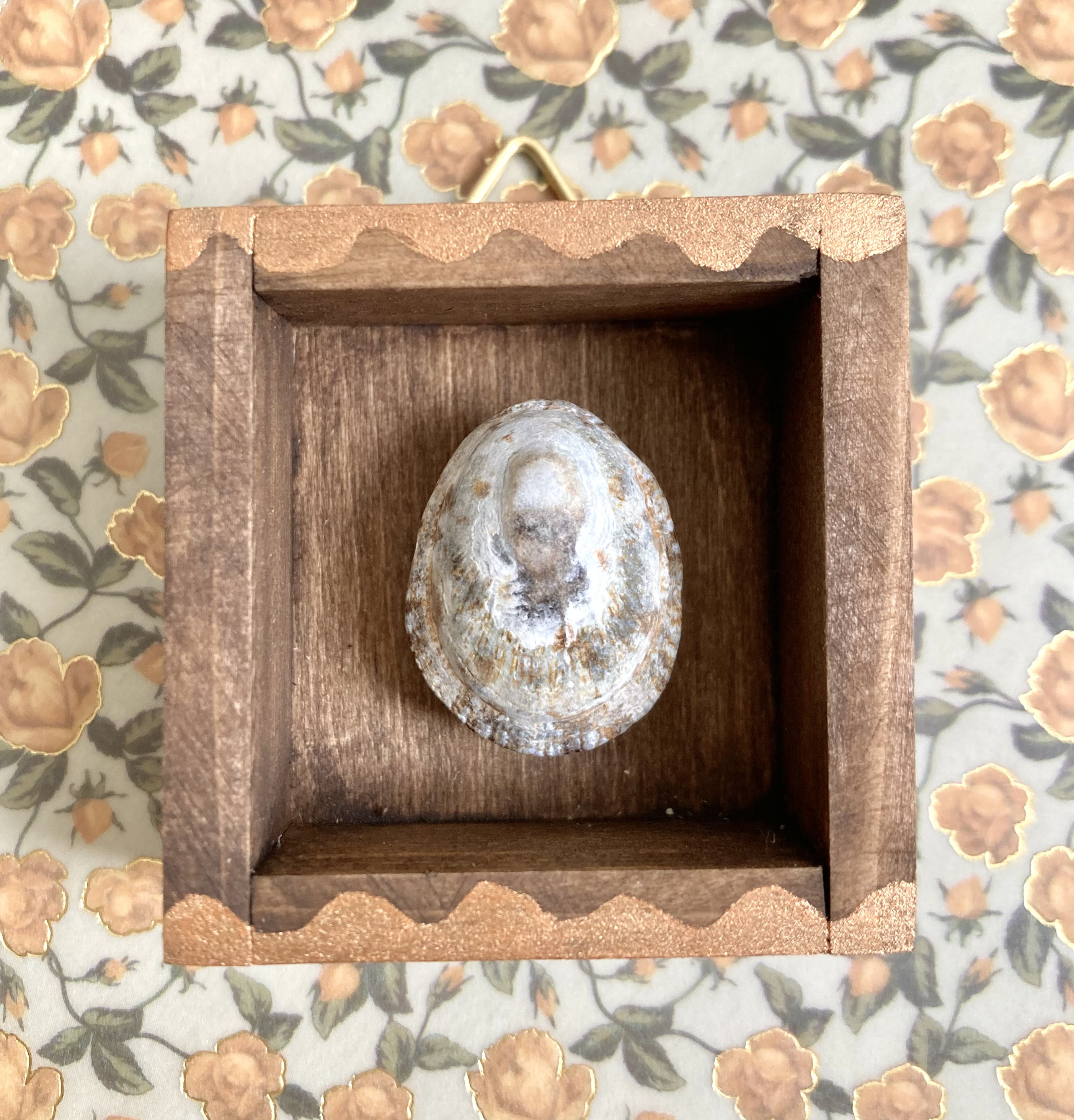 ヤシガイ　彫刻　貝殻　標本 Yahoo!オークション -「ヤシガイ」の落札相場・落札価格