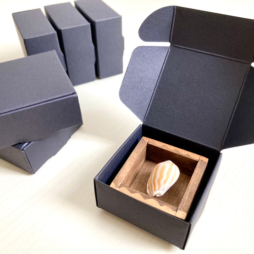 貝殻標本（タカラガイ） 立体・オブジェ ばやし 通販 17730684｜Creema