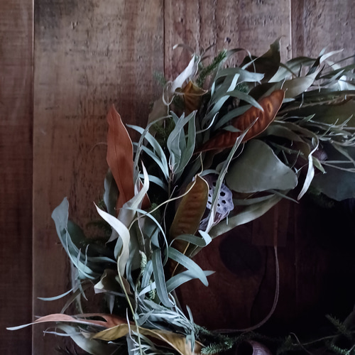 魔女の棲む森研究所】ドライフラワー リース リース shiturae 魔女の