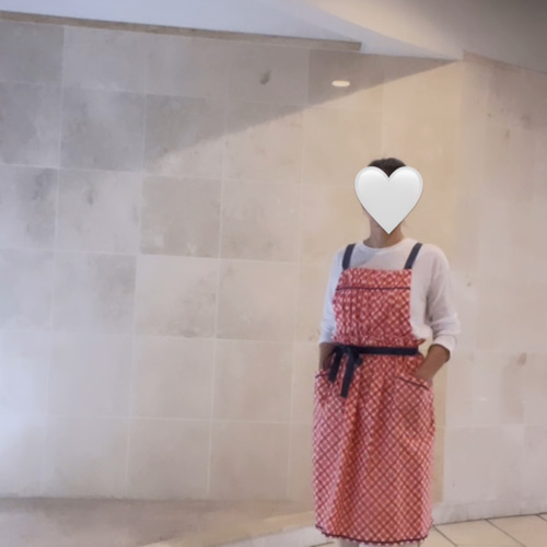 日常をワクワクさせるエプロンの専門店】 赤チェックエプロン エプロン