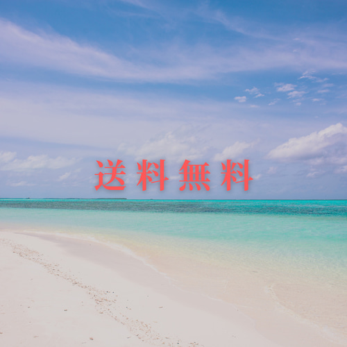 芸能人愛用 Hawaiiの海「ワイキキ」① 額縁 エポキシレジン ミニキャンバス 絵画