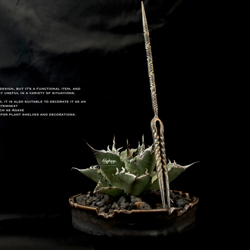 Spiral spare Lo.(ソイルスティック) spiral Lo. × wood.stand『soil stick』2set 多肉植物 Gypsy_product