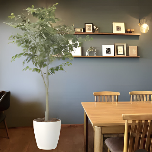 光触媒人工観葉植物ウォールグリーンフェイクグリーンフィカスツリー1.85