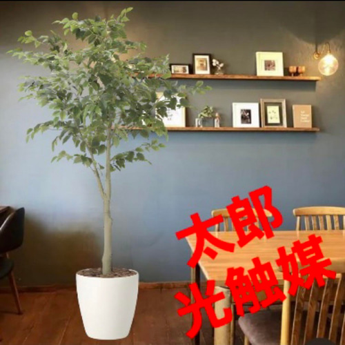 光触媒　人工観葉植物　ウォールグリーン　フェイクグリーン　フィカスツリー152 光触媒人工観葉植物ウォールグリーンフェイクグリーンフィカスツリー1.85