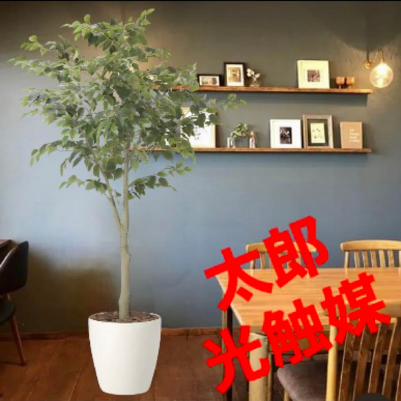 光触媒 人工観葉植物 ウォールグリーン フェイクグリーン