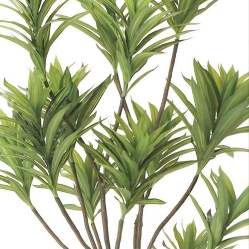 光触媒　人工観葉植物　ウォールグリーン　フレッシュドラセナ1.8 光触媒 人工観葉植物 ウォールグリーン フレッシュドラセナ1.8 その他