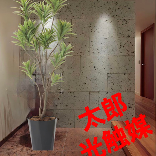 光触媒 人工観葉植物 ウォールグリーン フレッシュドラセナ1.8 【公式