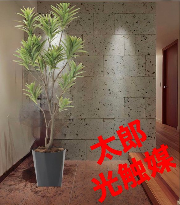 光触媒　人工観葉植物　ウォールグリーン　フェイクグリーン　ドラセナツリー90 その他インテリア雑貨 フラワー・ガーデニング 光触媒 人工観葉植物