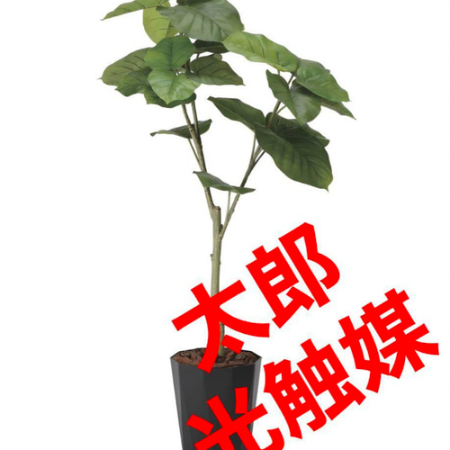 光触媒　人工観葉植物　ウォールグリーン　フレッシュウンベラータ1.35m 光触媒人工観葉植物ウォールグリーンフレッシュウンベラータ1.35m