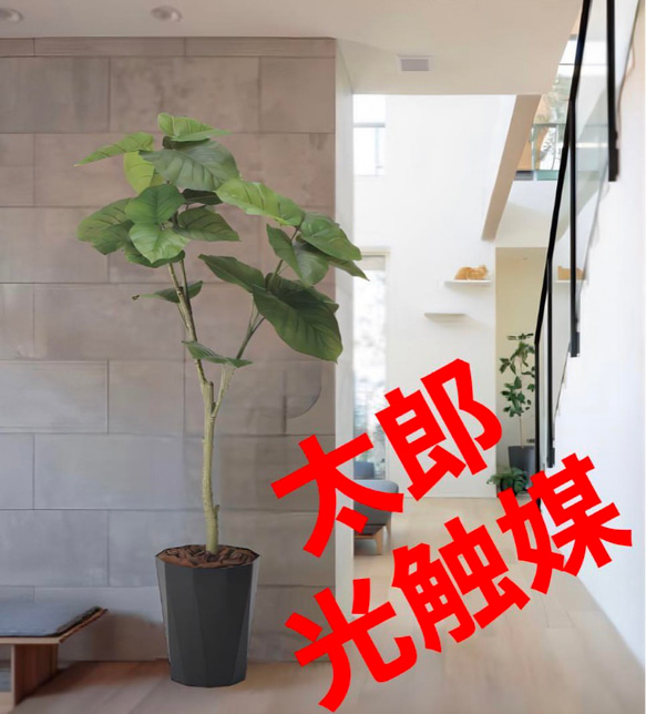 光触媒　人工観葉植物　ウォールグリーン　フレッシュウンベラータ1.35m 光触媒人工観葉植物ウォールグリーンフレッシュウンベラータ1.35m