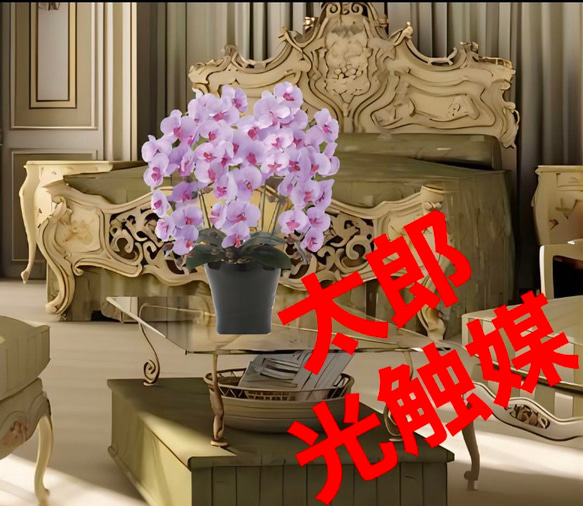 光触媒 人工観葉植物 ウォールグリーン フェイクグリーン クイーン胡蝶