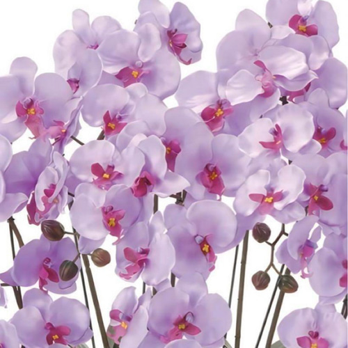 光触媒　人工観葉植物　ウォールグリーン　フェイクグリーン　クイーン胡蝶蘭5本立L 光触媒 人工観葉植物 ウォールグリーン フェイクグリーン クイーン胡蝶