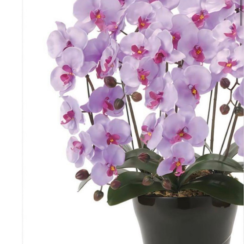 光触媒 人工観葉植物 ウォールグリーン フェイクグリーン クイーン胡蝶