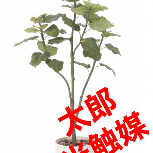 光触媒　人工観葉植物　ウォールグリーン　フェイクグリーン　ウンベラータ1.51. 光触媒 光の楽園 フレッシュアーバンウンベラータ1.8m【インテリア