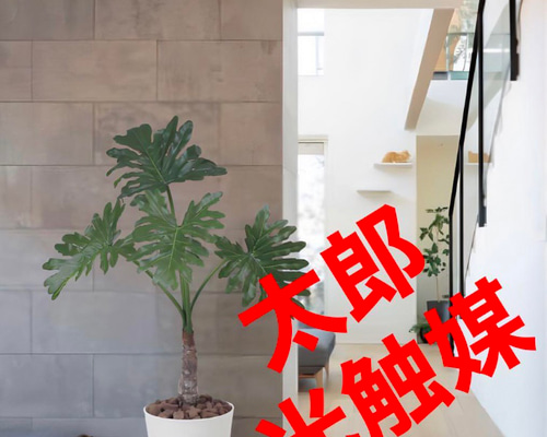 光触媒　人工観葉植物　ウォールグリーン　フェイクグリーン　セローム1.0 3a2fac727711e36f7549a238b98e47