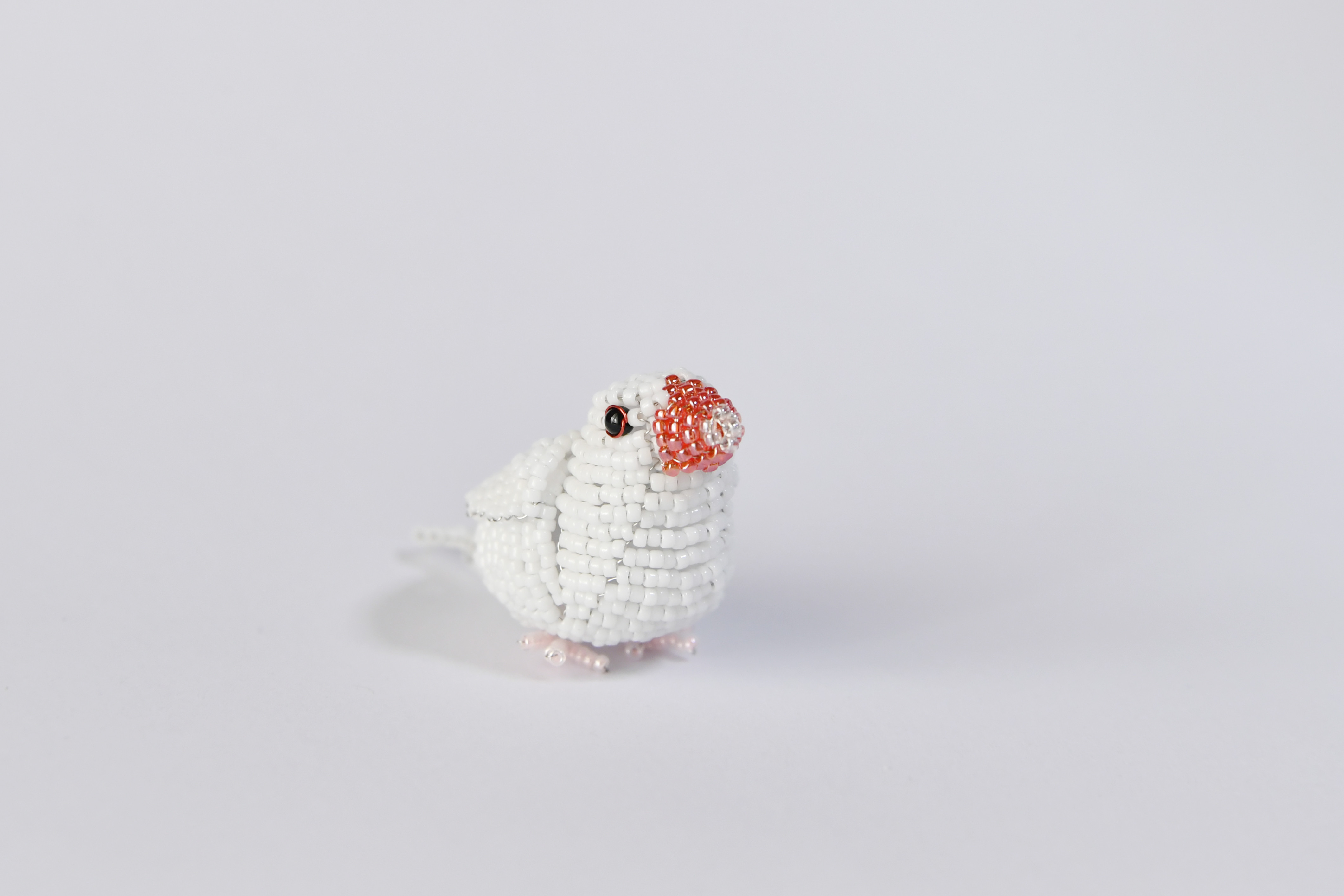 お座りしてます。特小ビーズの白文鳥