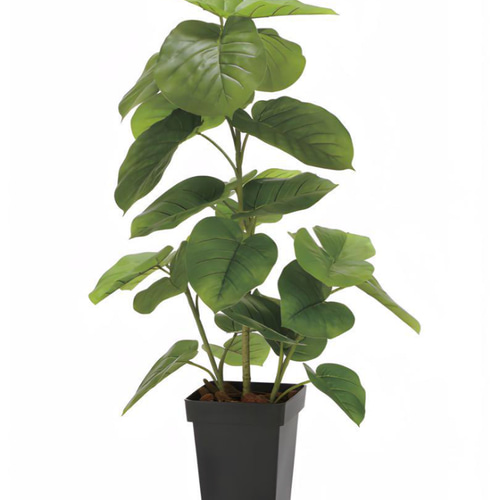 光触媒　人工観葉植物　ウォールグリーン　フェイクグリーン　ウンベラータ1.2 光触媒 人工観葉植物 ウォールグリーン フェイクグリーン ウンベラータ
