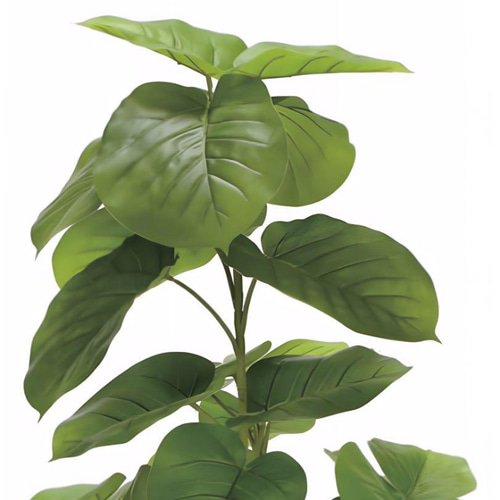 光触媒　人工観葉植物　ウォールグリーン　フェイクグリーン　ウンベラータ1.2 光触媒 人工観葉植物 ウォールグリーン フェイクグリーン ウンベラータ