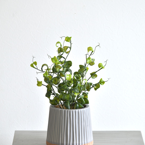 枯れないベンジャミン・バロック 観葉植物 アーティフィシャルフラワー