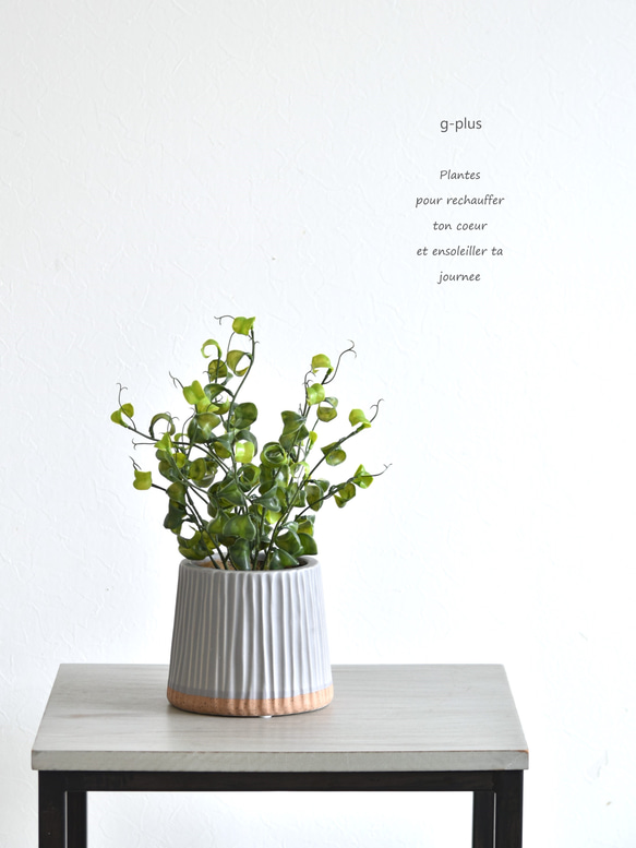 枯れないベンジャミン・バロック 観葉植物 アーティフィシャルフラワー