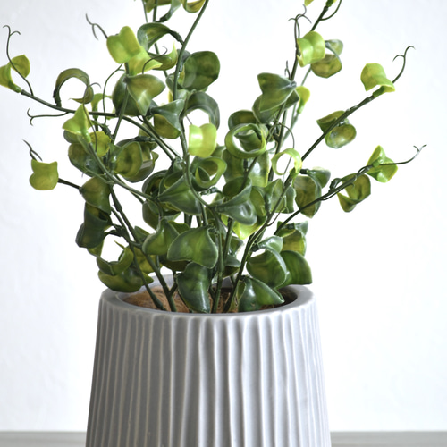 枯れないベンジャミン・バロック 観葉植物 アーティフィシャルフラワー