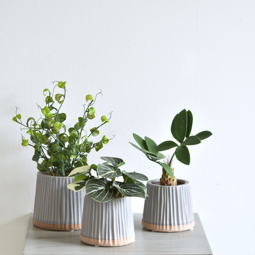 枯れないベンジャミン・バロック 観葉植物 アーティフィシャルフラワー