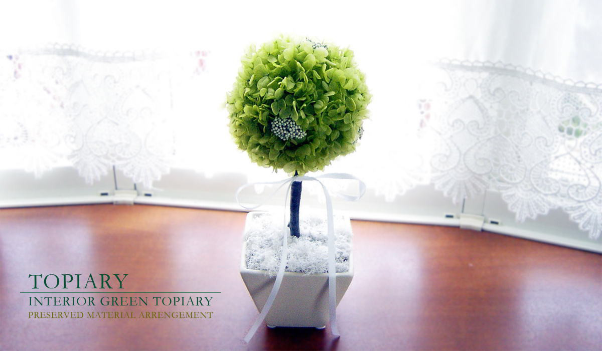 トピアリー（プリザーブドグリーン）枯れない観葉植物 お手入れ不要 ギフト 父の日 贈り物 新築祝 誕生日祝 開業祝