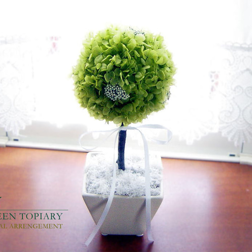 トピアリー（プリザーブドグリーン）枯れない観葉植物 お手入れ不要